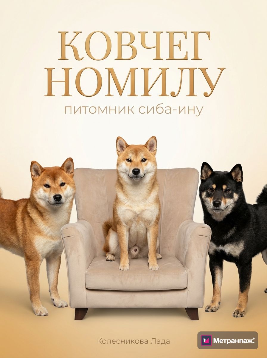 Image 432772