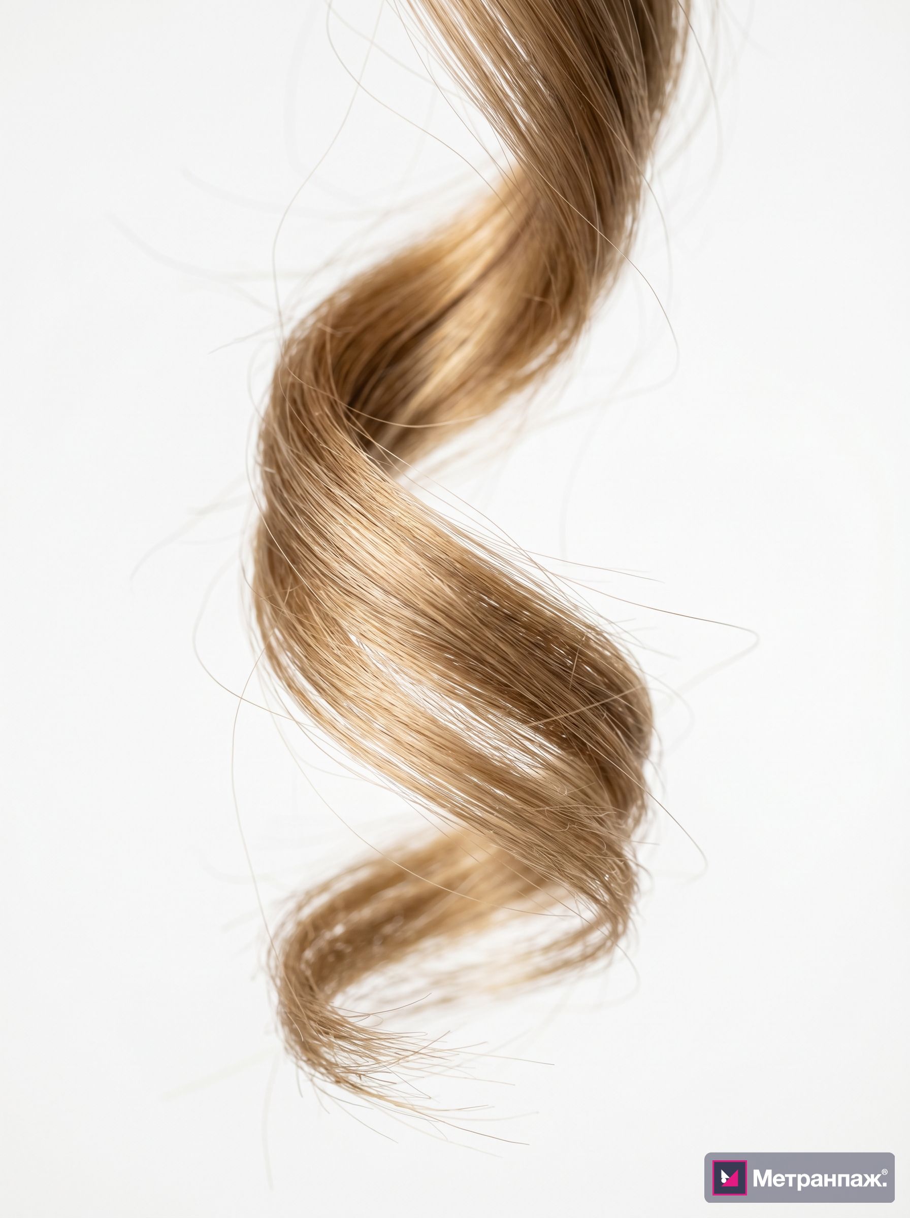 Image 492366