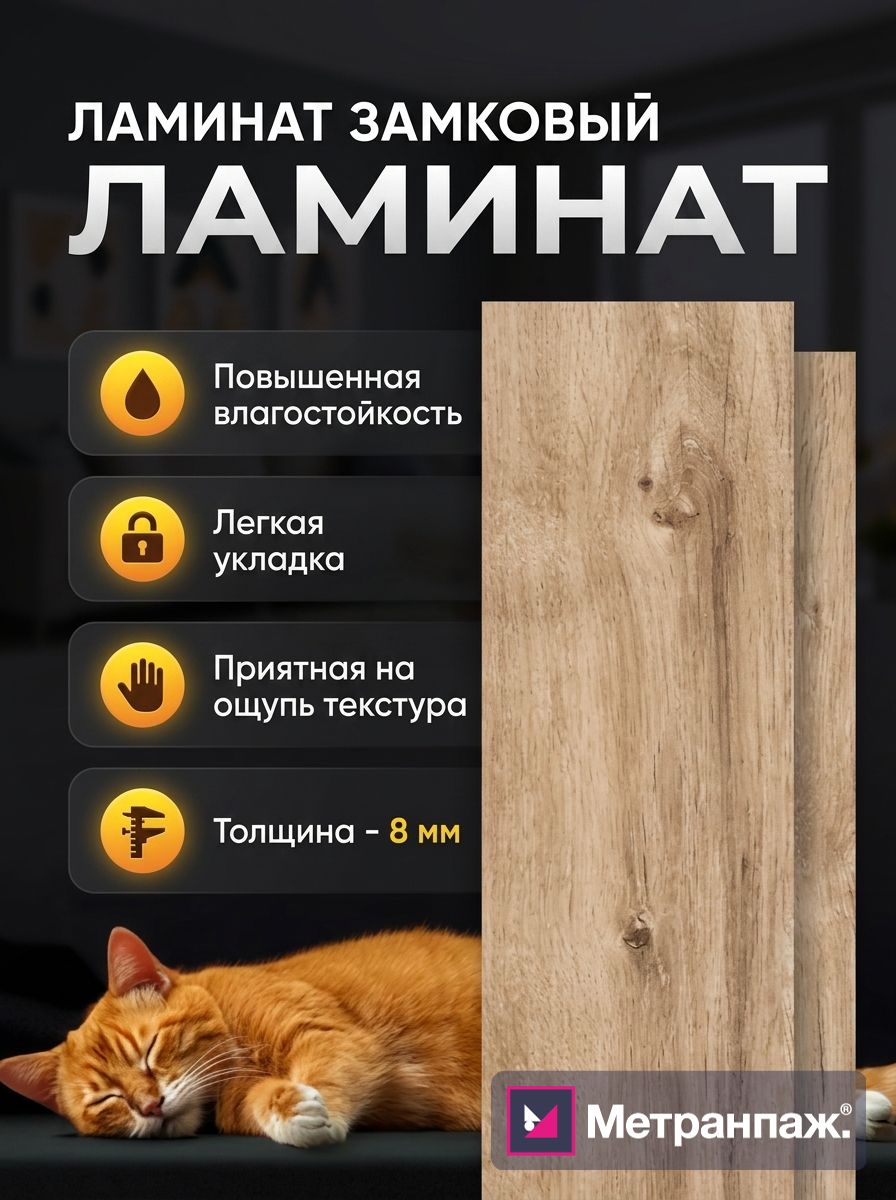 Image 497911
