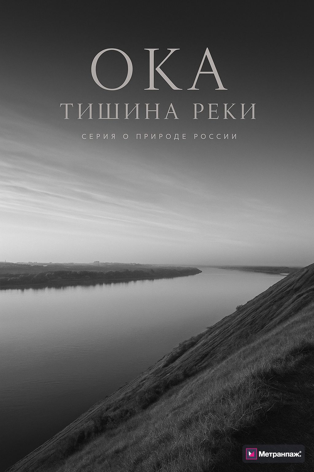 Image 250660
